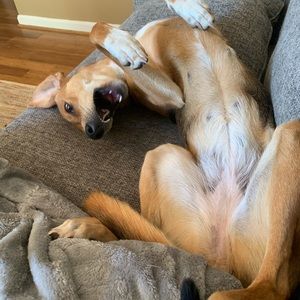 Meet your Posher, Theresa